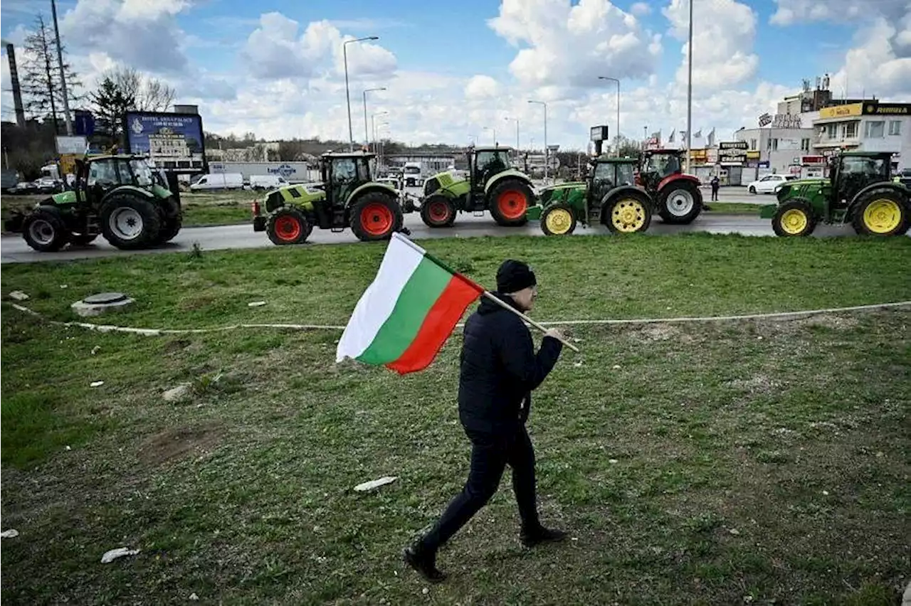 EU warns against unilateral steps after Poland, Hungary ban grain from Ukraine