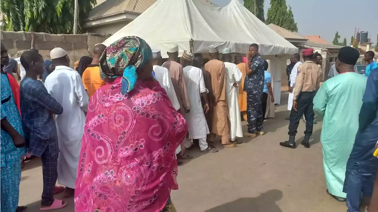 INEC: Our national commissioners were harassed during Adamawa guber poll | TheCable