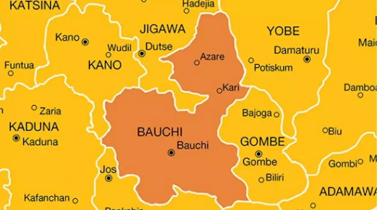 One killed, properties destroyed as youths protest over coronation of village head in Bauchi | TheCable