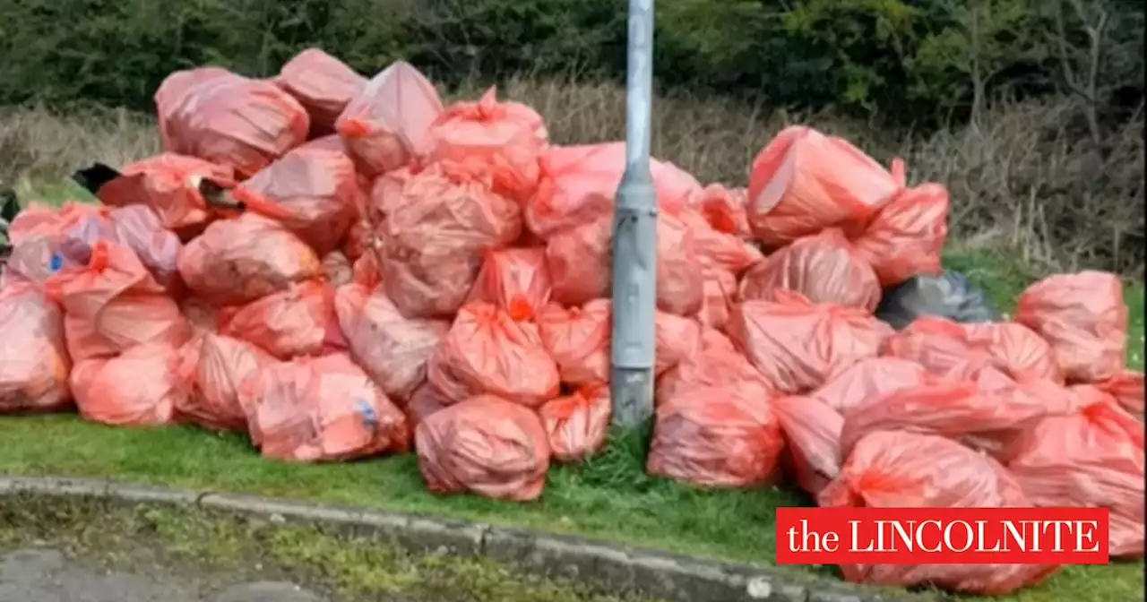 Lincolnshire litter picker says £1k fine for fly-tippers is too small