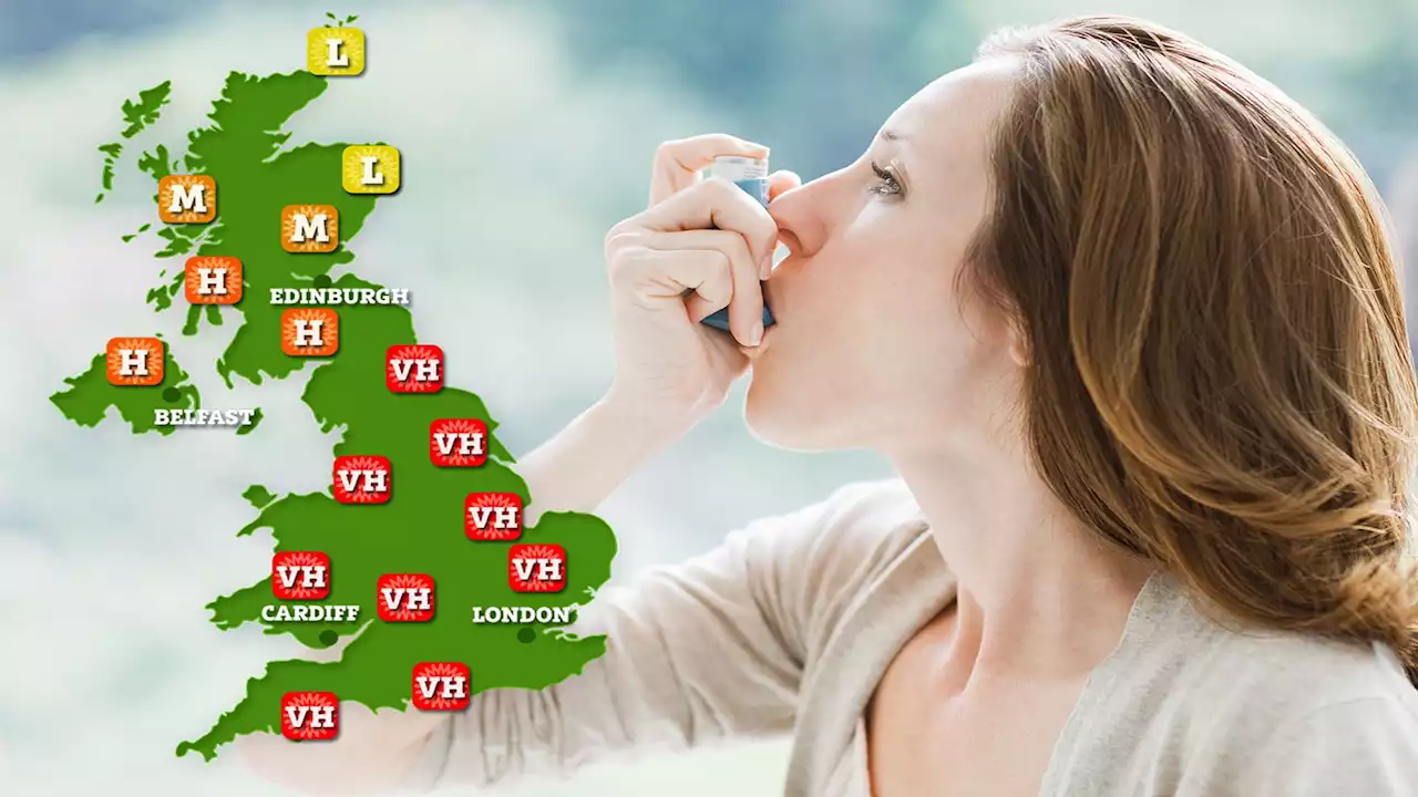 Warning to millions with asthma - 'deadly' pollen bomb will explode this weekend