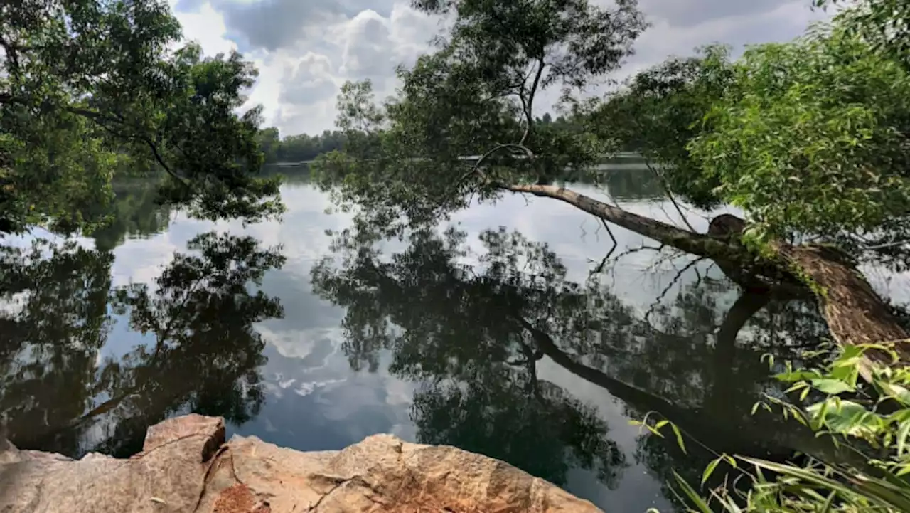 Search ongoing for off-duty NSF firefighter missing in Pulau Ubin