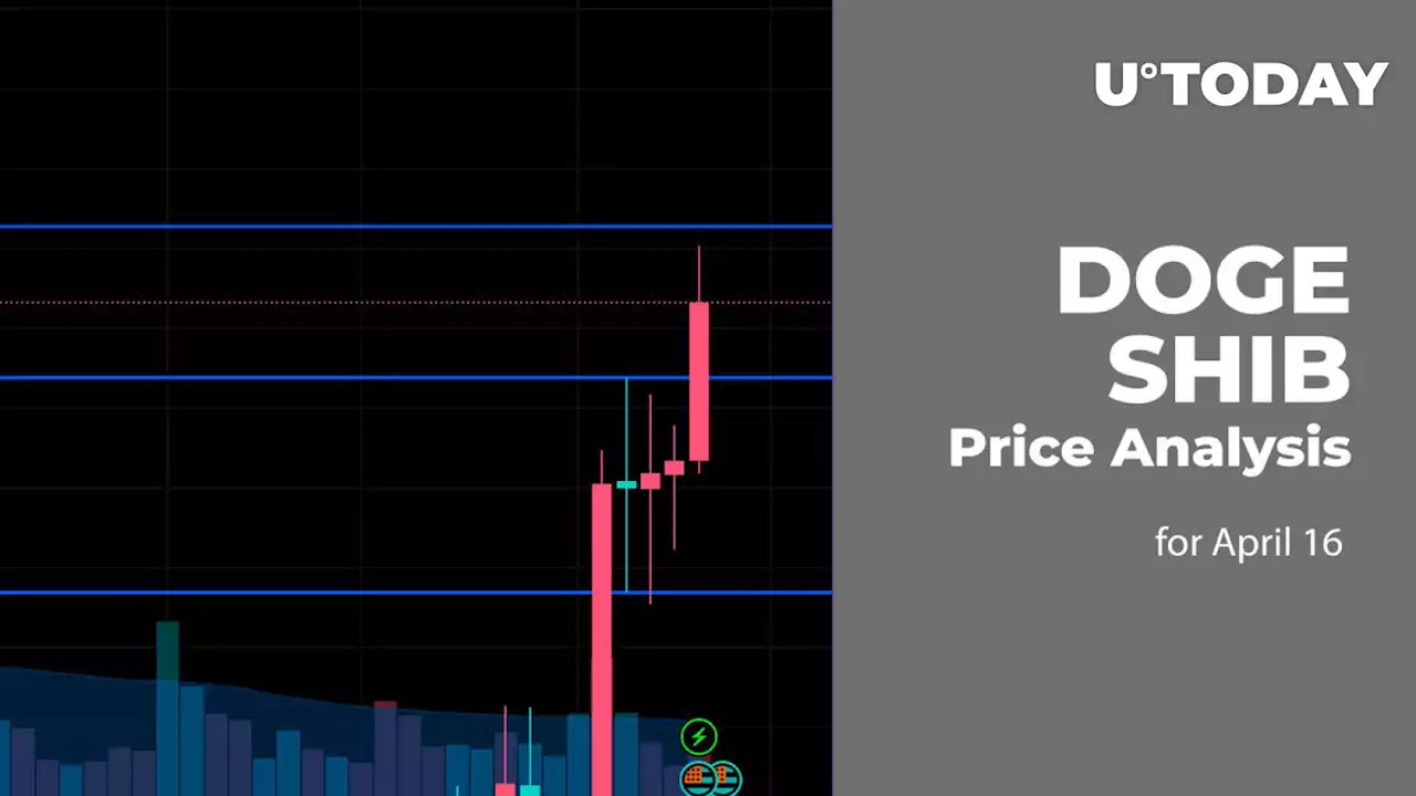 DOGE and SHIB Price Analysis for April 16