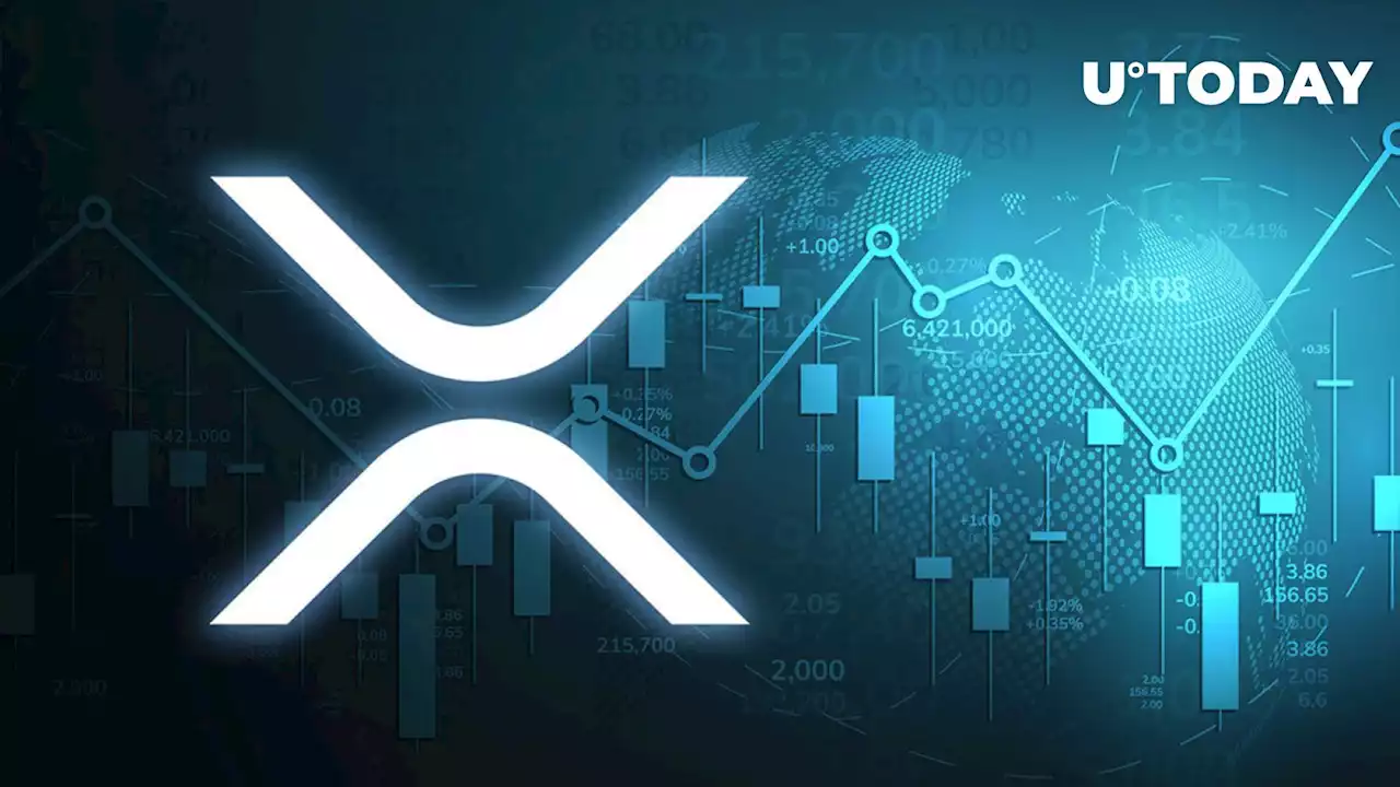 XRP's Large and Unexpected 5.8% Price Spike Led to Nothing, Here's Why