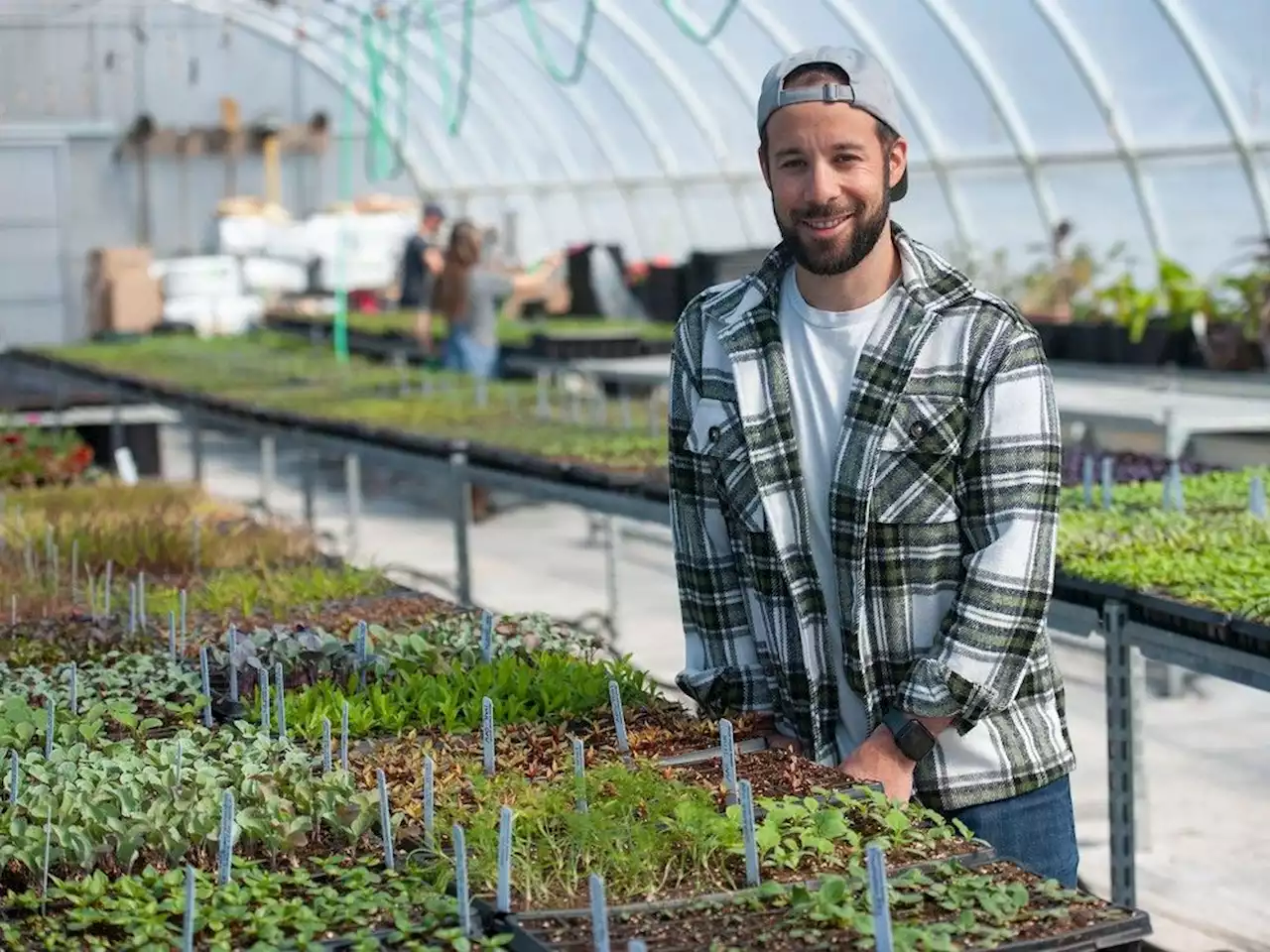 B.C. seeds sales remain strong amid rising food prices