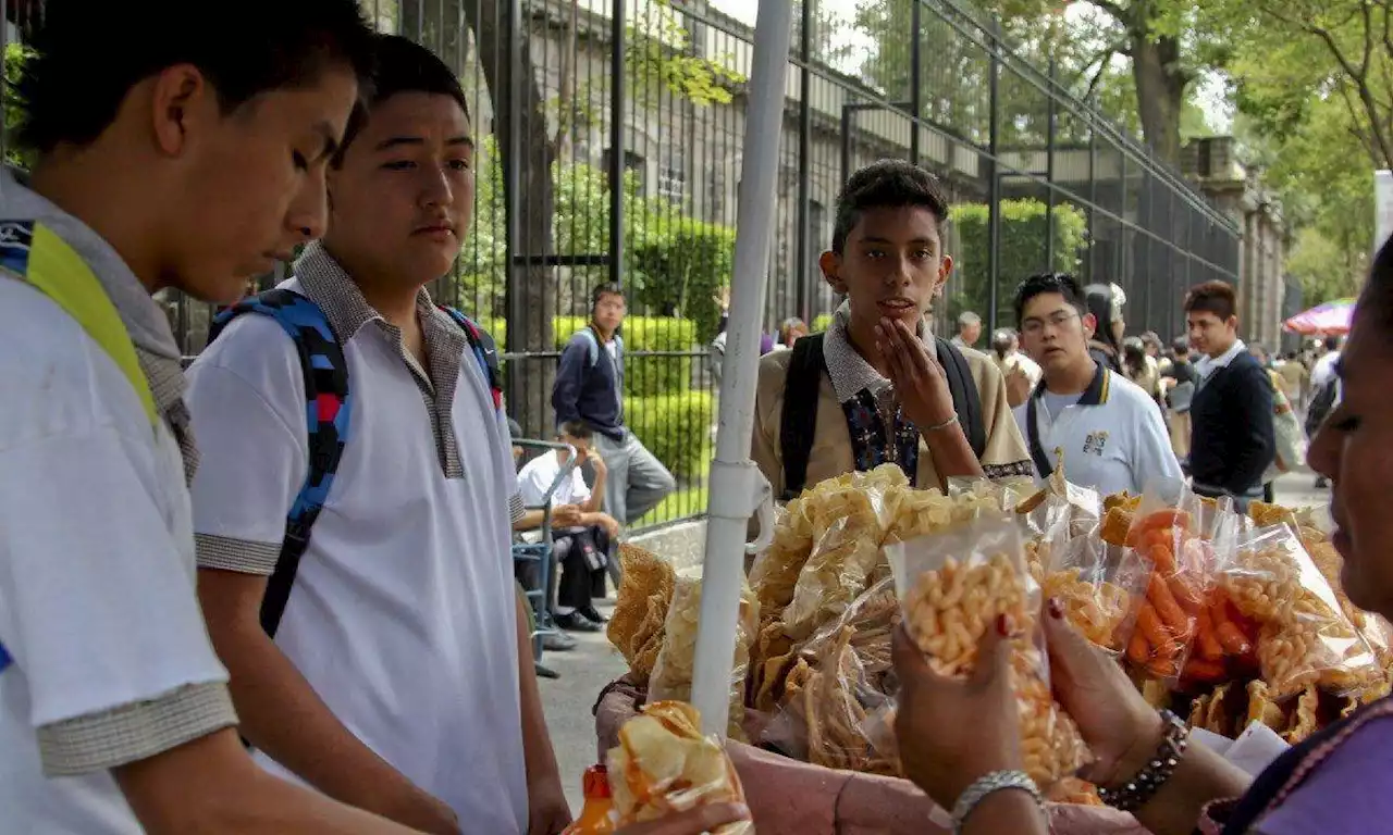 ¿Lunch para el regreso a clases?... Según Profeco, estos son los alimentos más dañinos que no deberían consumir los niños