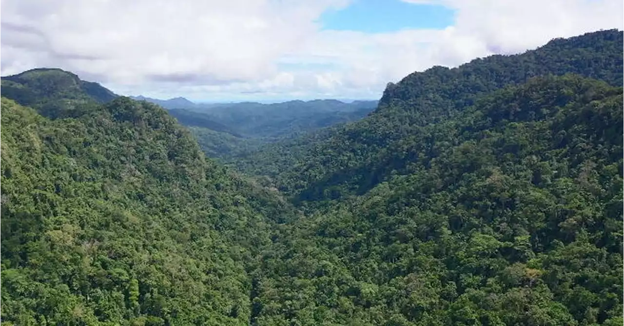 Australian man dies hiking Kokoda Track in Papua New Guinea