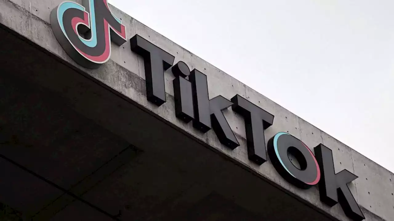 Republican lawmakers demand TikTok ban for members of Congress