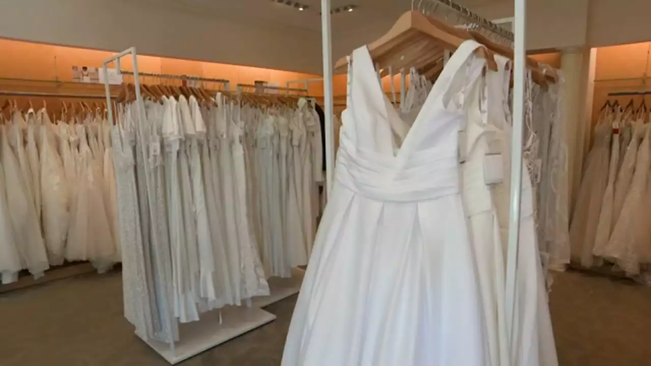 David's Bridal files for Chapter 11 bankruptcy