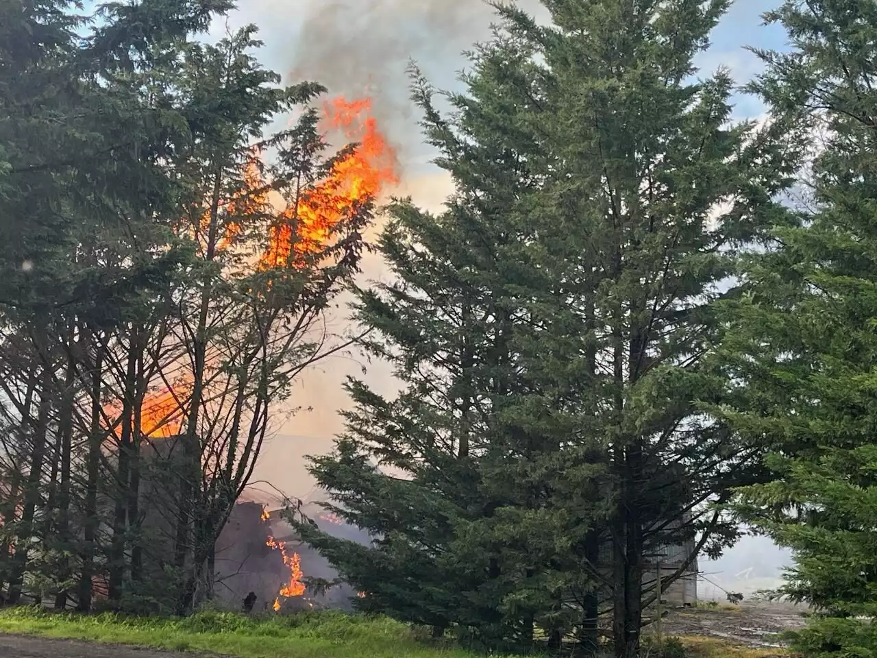 Incendies : les feux de forêts vont-ils arriver de plus en plus tôt dans l'année ?