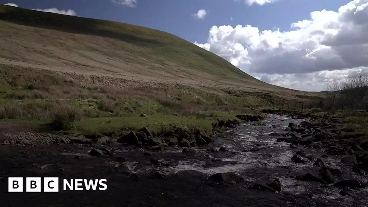 National park visitors' views on Welsh name change