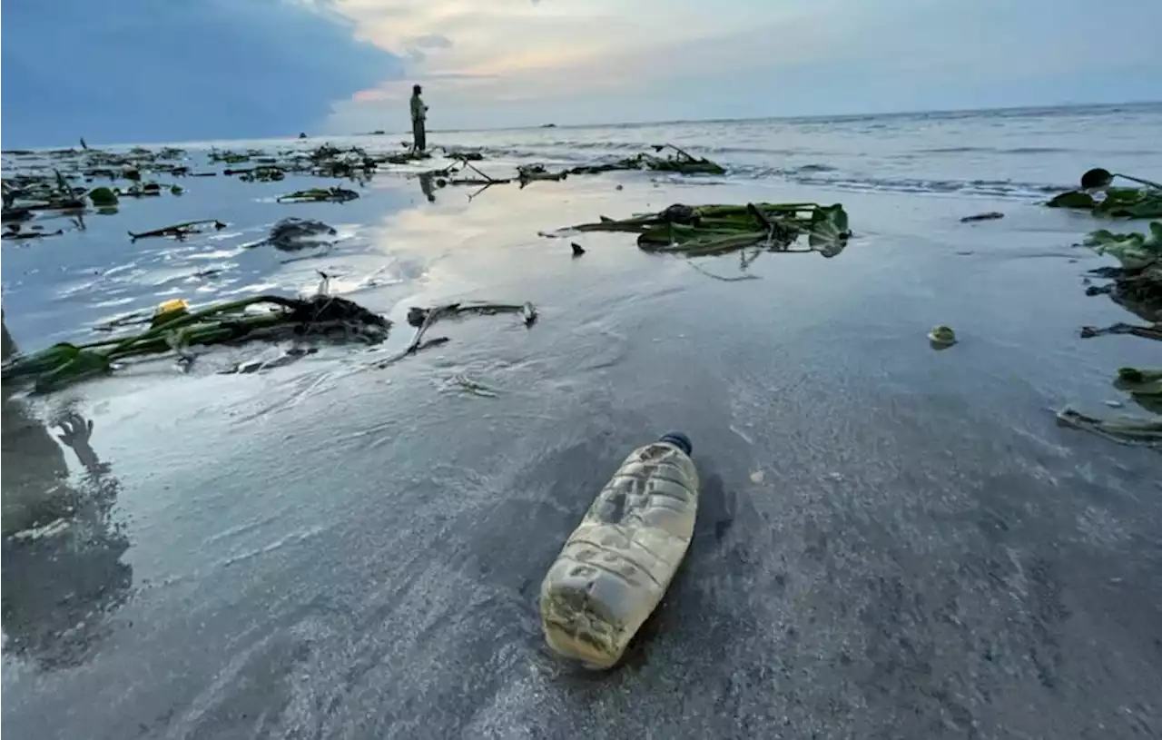 Terkait Pengelolaan Sampah Laut, KLHK Gandeng Swasta dan Tokoh Agama