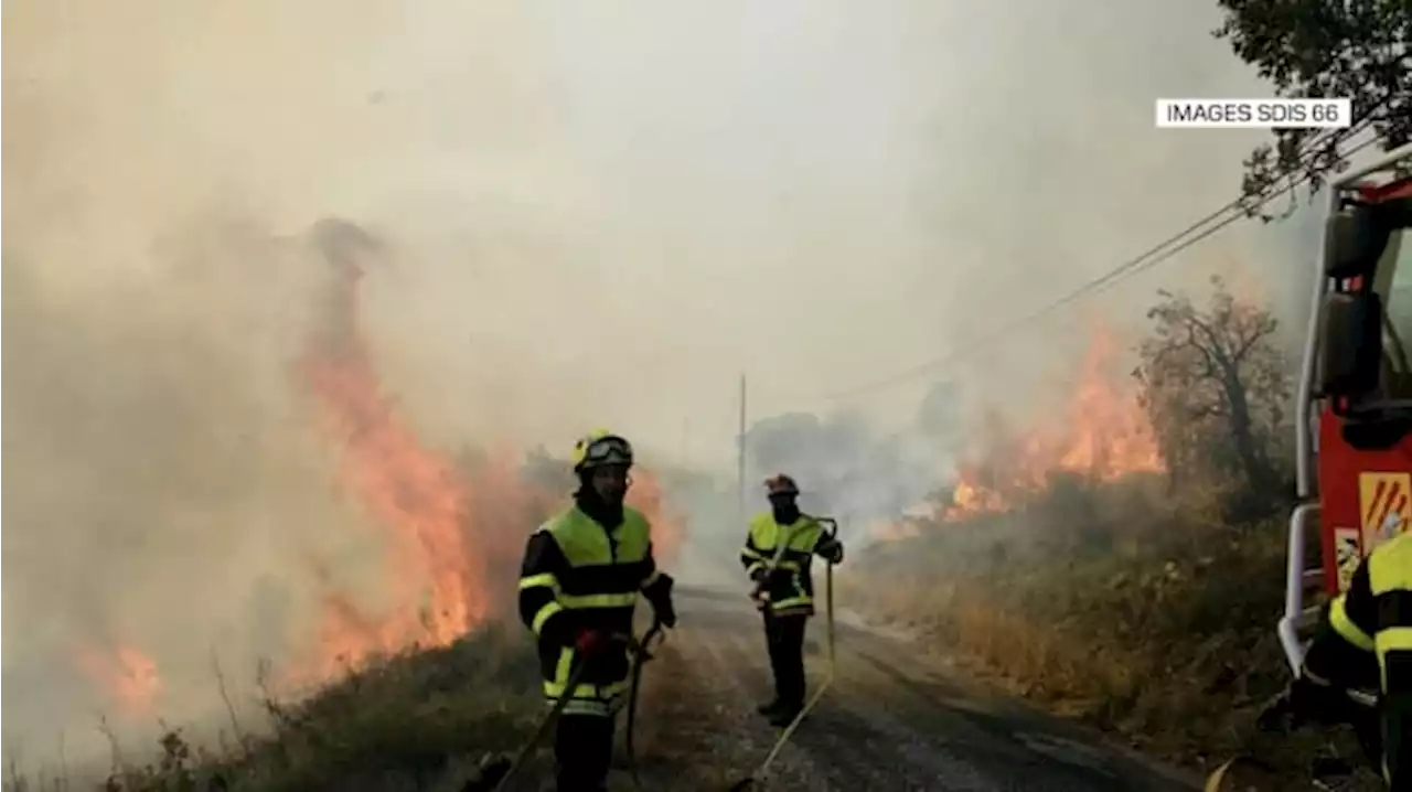 Incendie dans les Pyrénées-Orientales: le feu officiellement maîtrisé