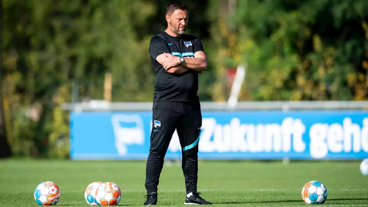 Hertha BSC: Die Berliner dachten schon früher an Trainer Pal Dardai