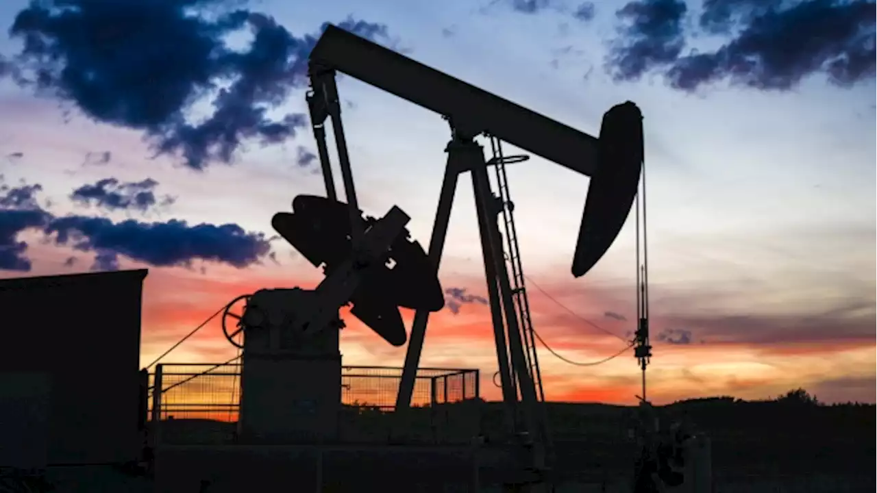 Oil dips after four weekly gains on demand headwinds, dollar - BNN Bloomberg