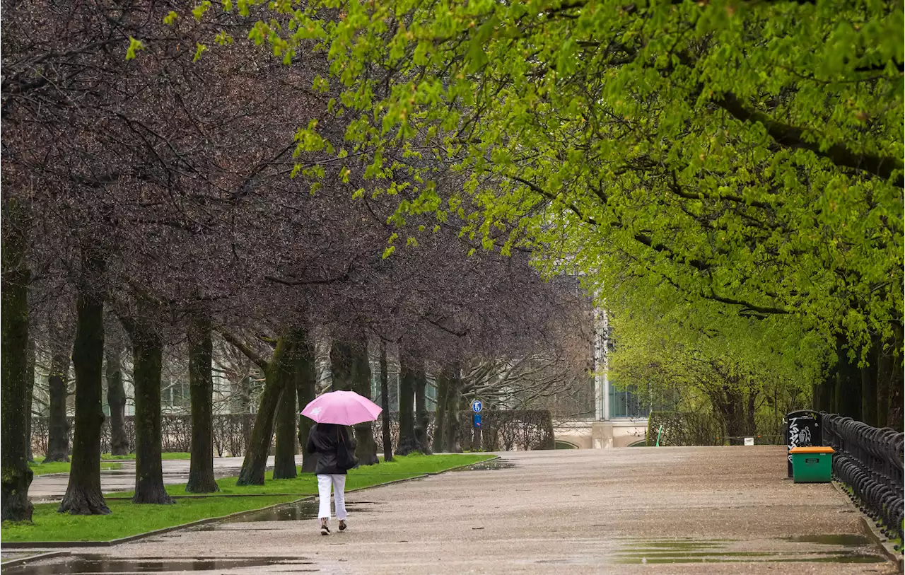 April-Kapriolen in Bayern: Warten auf mildes Frühlingswetter