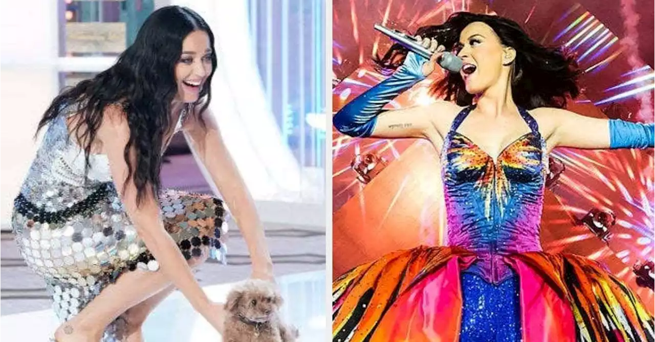 Katy Perry Is Going To Play With Puppies, So Give Us All Your Questions For Her