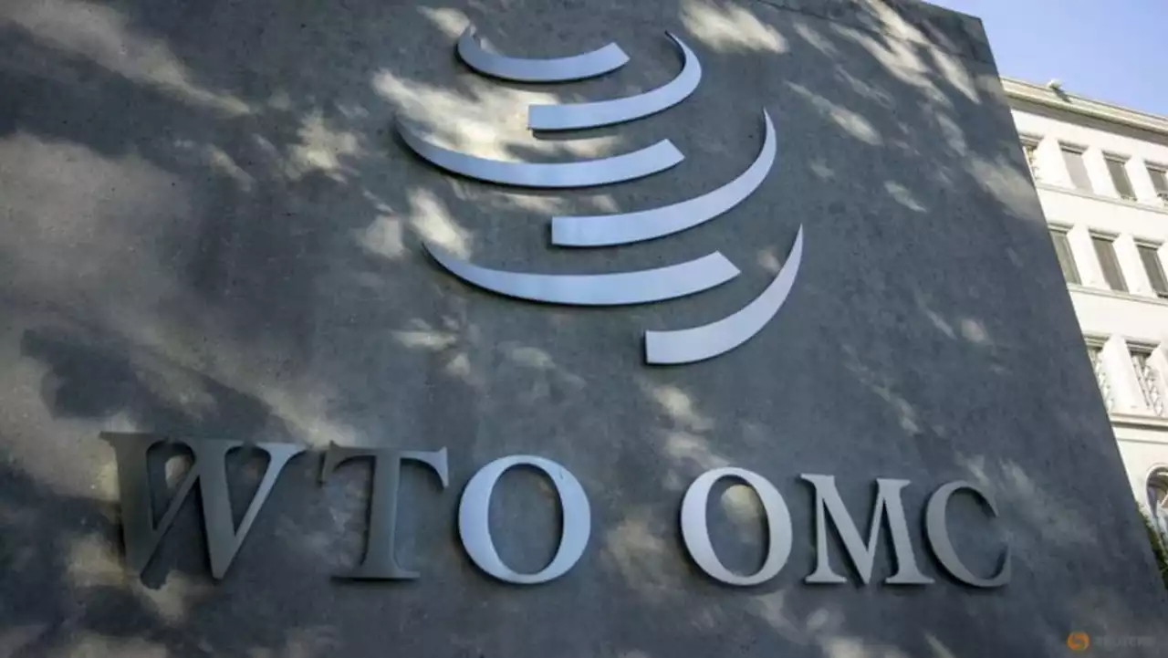 WTO panel rules against India in IT tariffs dispute with EU, others