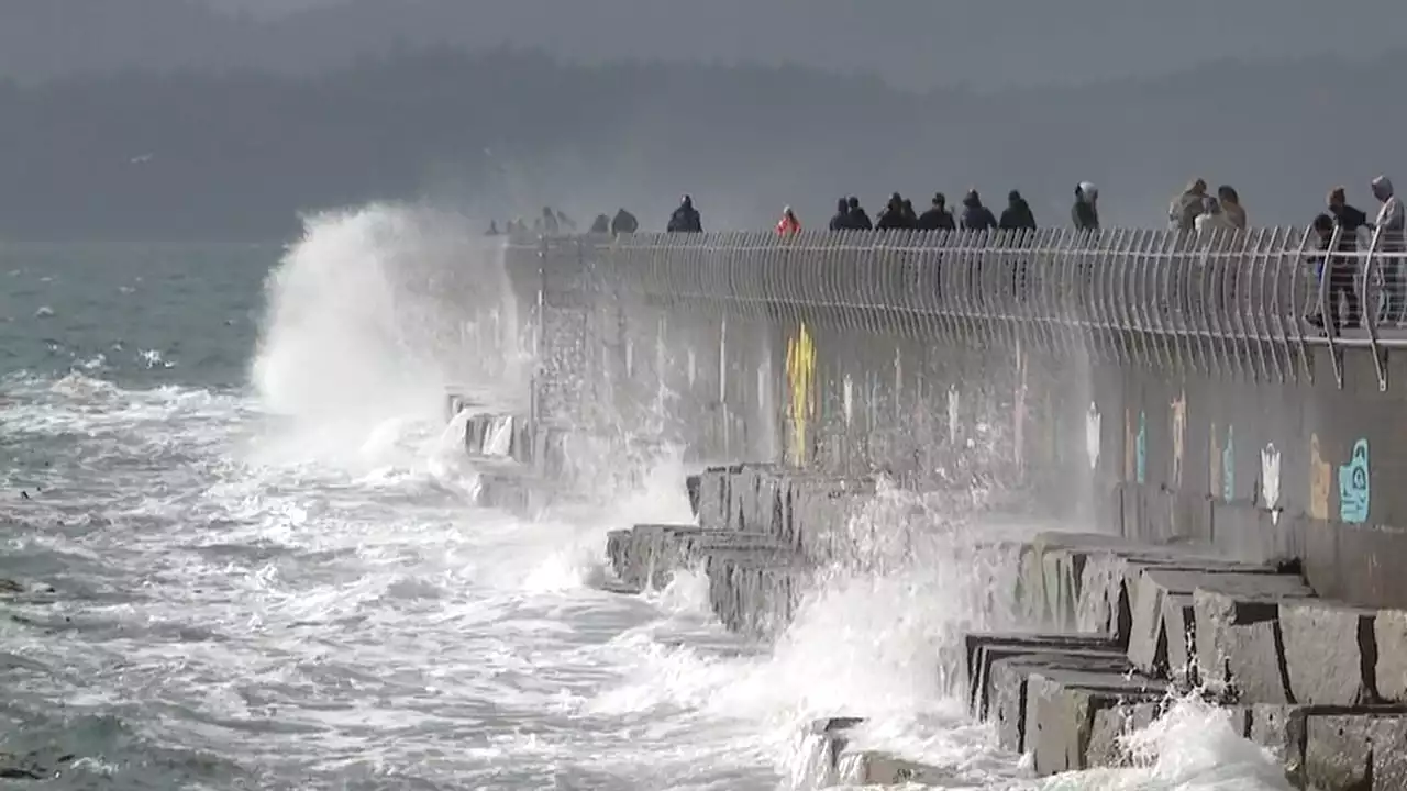 Warning issued for potentially damaging 70 km/h winds sweeping Greater Victoria