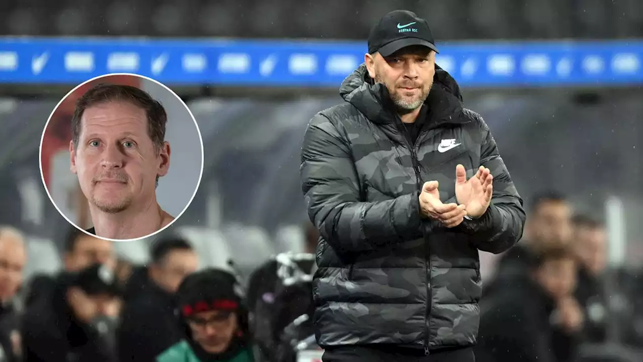 Dardai als neuer Hertha-Trainer ist die beste Wahl