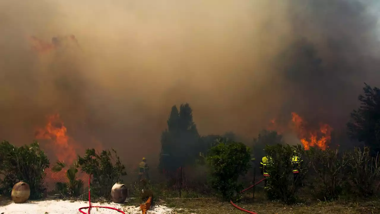 Waldbrand in Frankreich zerstört 900 Hektar Land