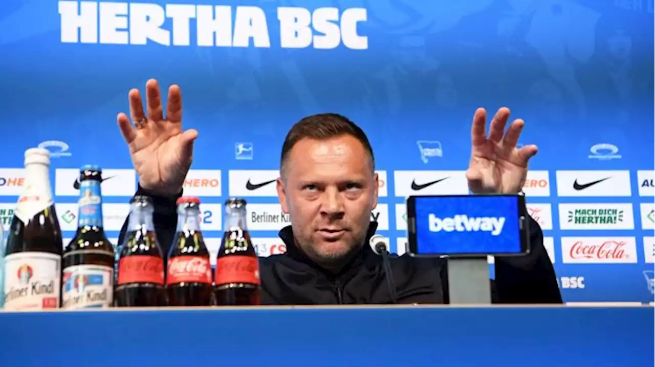 Darum ist Pal Dardai (nicht) die ideale Lösung für Hertha BSC