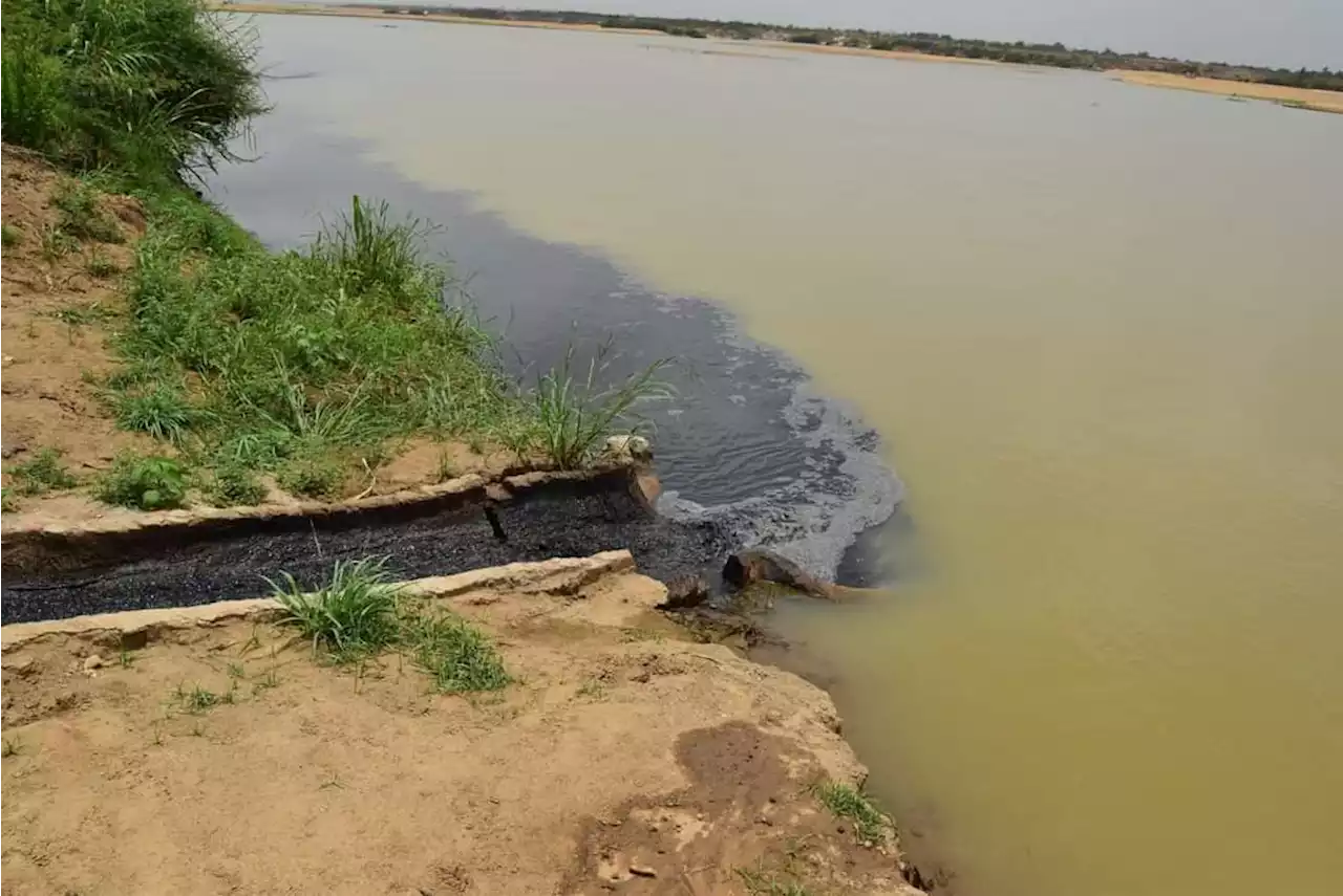 Biotech company accused of polluting River Benue with cassava plant waste