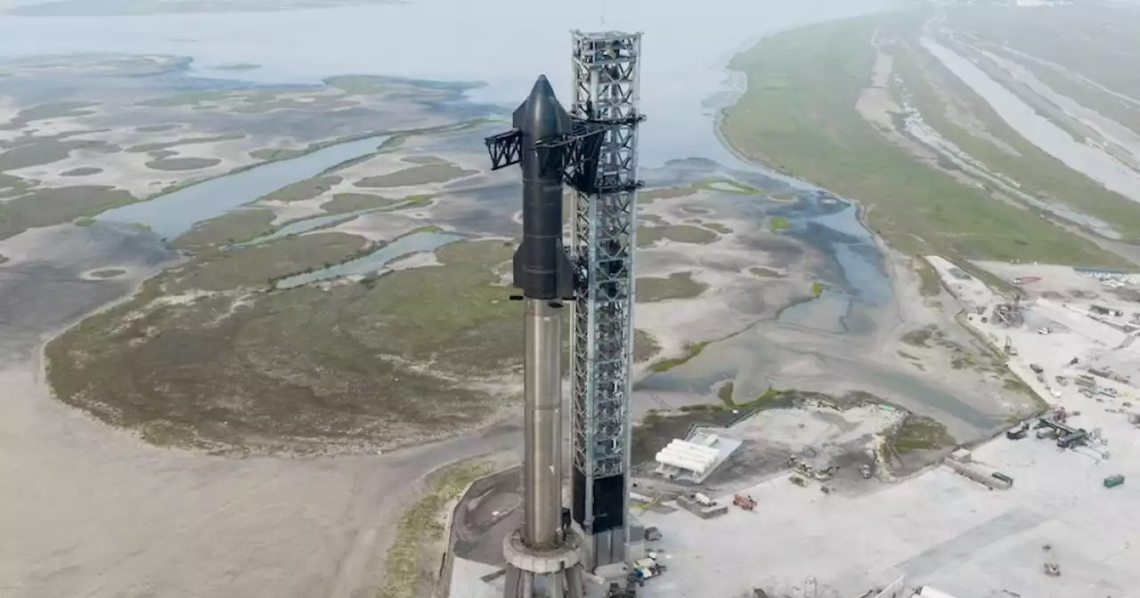 SpaceX scrubs launch of world's most powerful rocket | Digital Trends