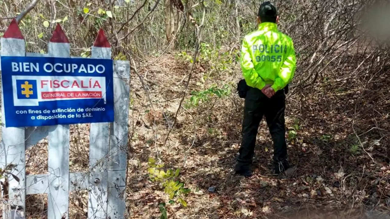 Afectados con extinción de dominio 29 bienes de ‘Los Costeños’ en el Caribe