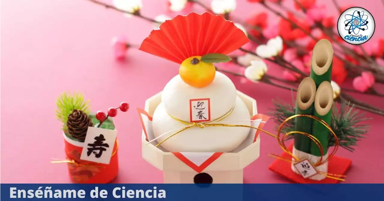 Nombres de origen japonés más populares en México, conoce su significado