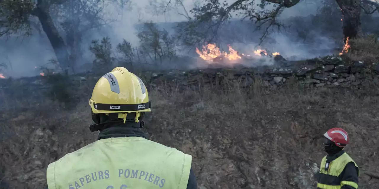 Incendie dans les Pyrénées-Orientales : le feu fixé mais les pompiers restent vigilants