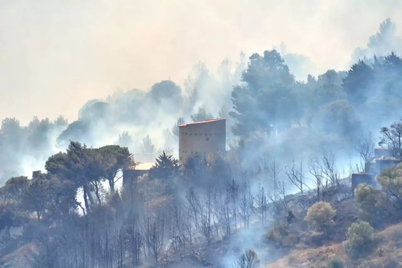 Incendie dans les Pyrénées-Orientales : près de 1000 hectares parcourus et une météo défavorable ce lundi