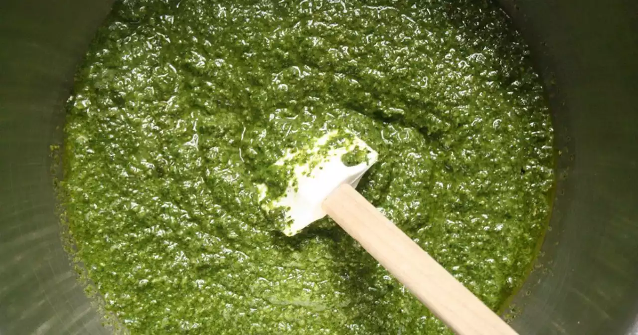 Genova, sequestrate in porto sette tonnellate di pesto made in Usa