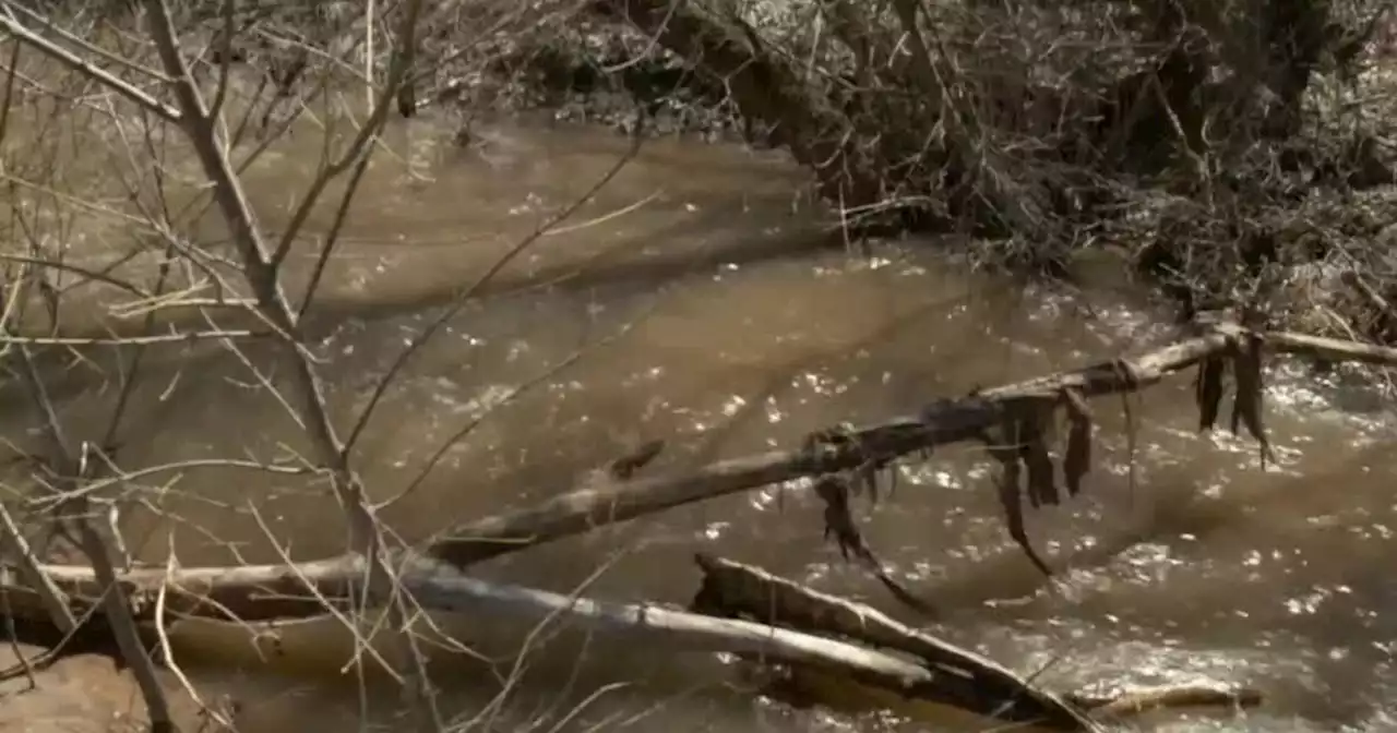 Flood Advisory issued for Emigration Canyon area, Hogle Zoo