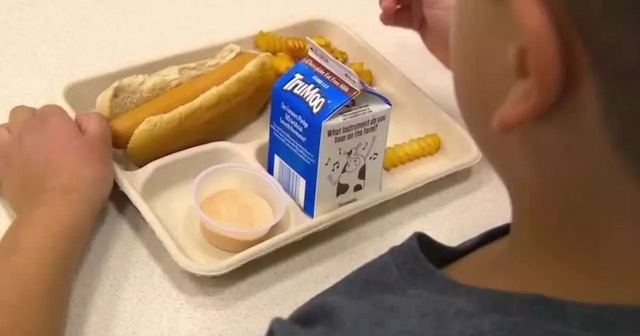 Utah students plagued with over $1.7 million in school lunch debt