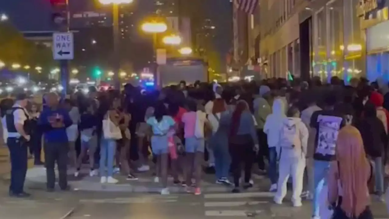 Illinois state senator defends Chicago teens' rioting, looting: 'It's a mass protest'