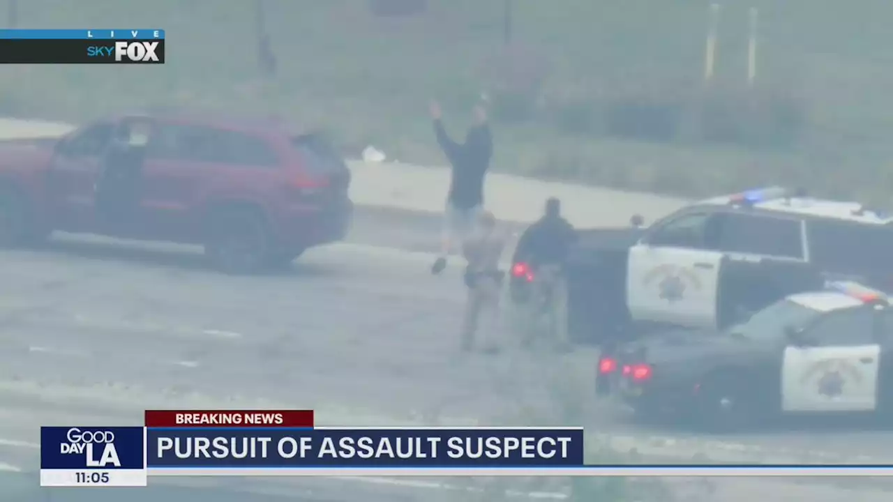 Police chase: CHP in pursuit of alleged assault suspect