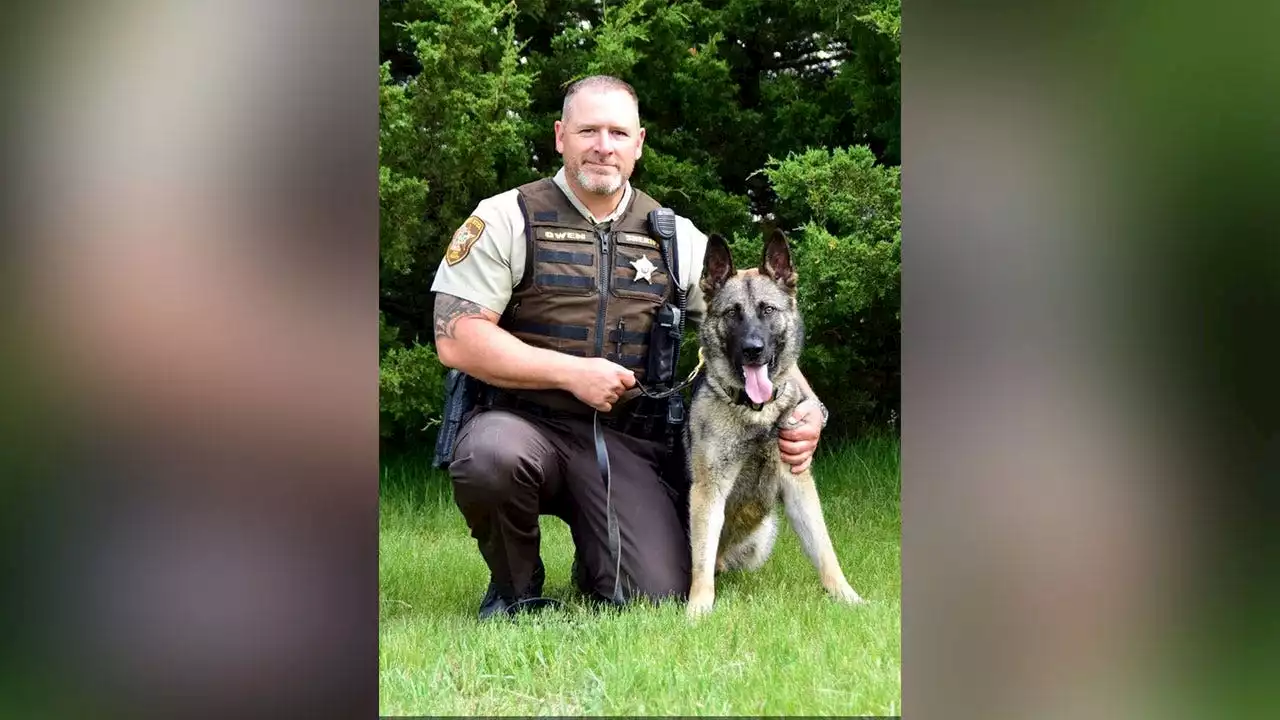 Minnesota deputy shot and killed while responding to domestic incident: 'lost a brother'