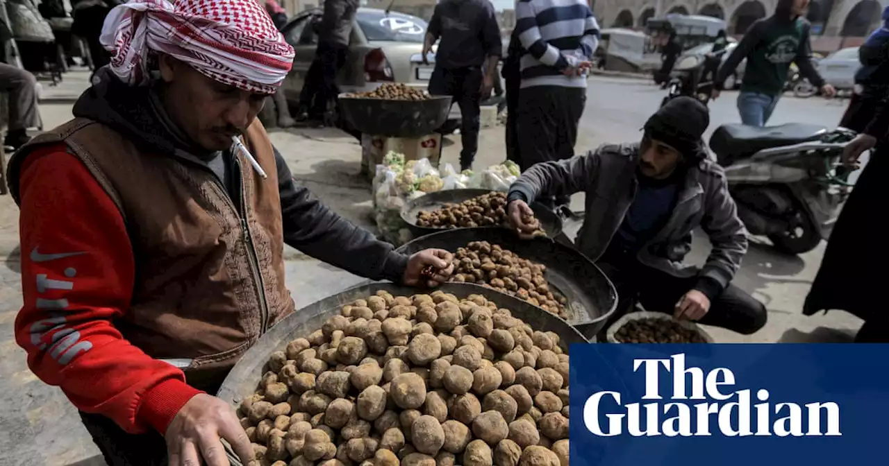 Suspected IS fighters kill 26 desert truffle hunters in Syria