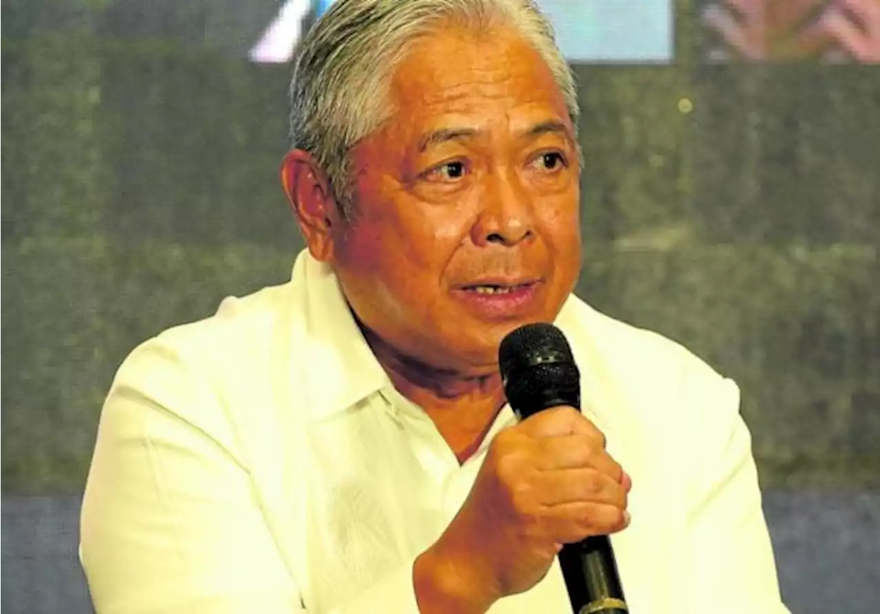 More night-rated airports needed, says Bautista