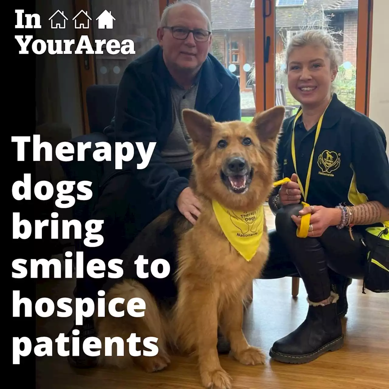 Therapy dogs bring smiles to Wrexham hospice patients