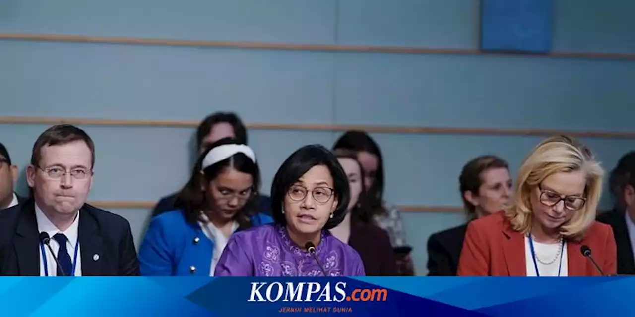 Pimpin Rapat Para Menkeu Dunia, Sri Mulyani Tekankan Pentingnya Peranan Atasi Perubahan Iklim