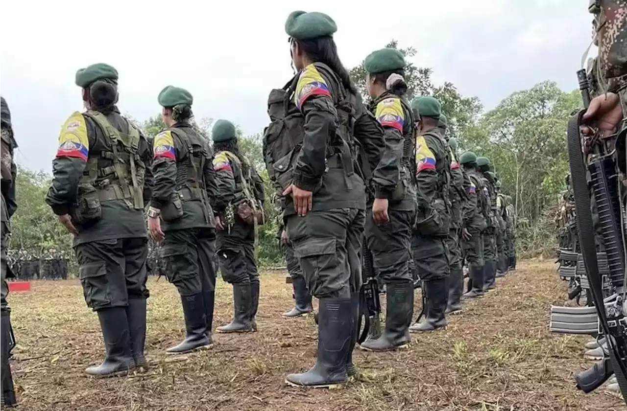 Disidencia de las Farc iniciarán diálogos de paz el 16 de mayo