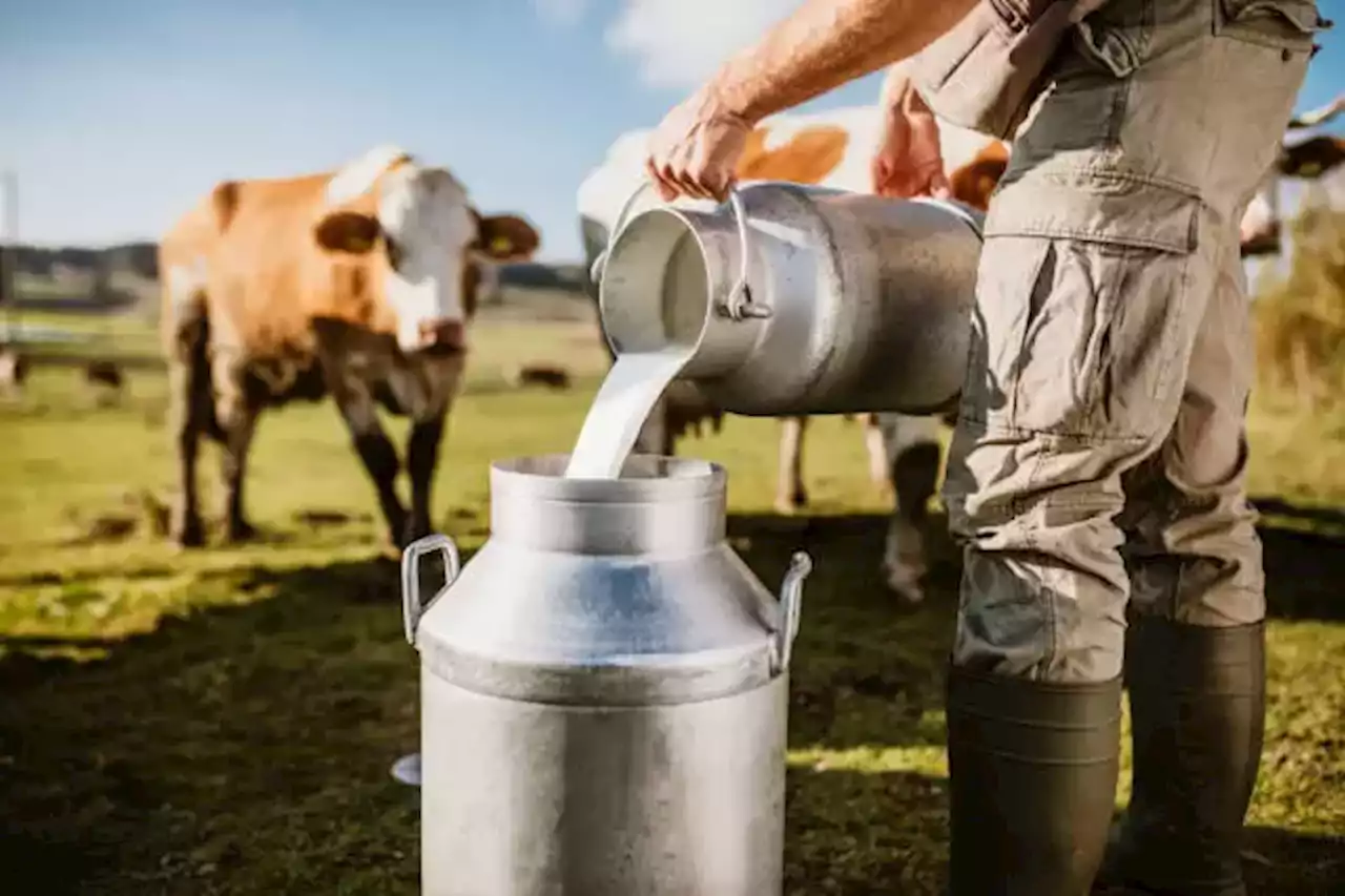 Precio de la leche en Colombia seguiría en aumento: ¿Por qué?