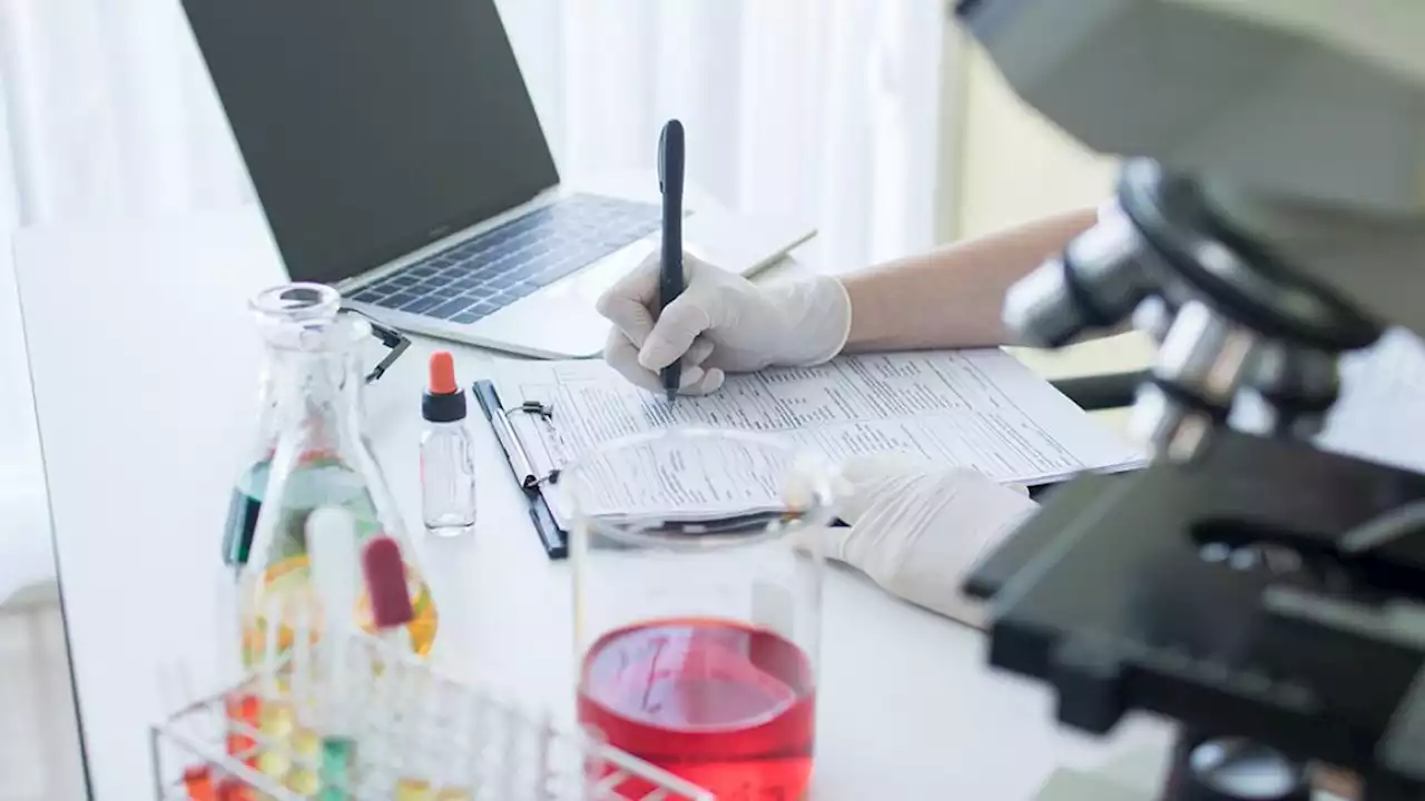 Más de mil investigadores y académicos exigen no aprobar apresuradamente Ley de Ciencia y Tecnología