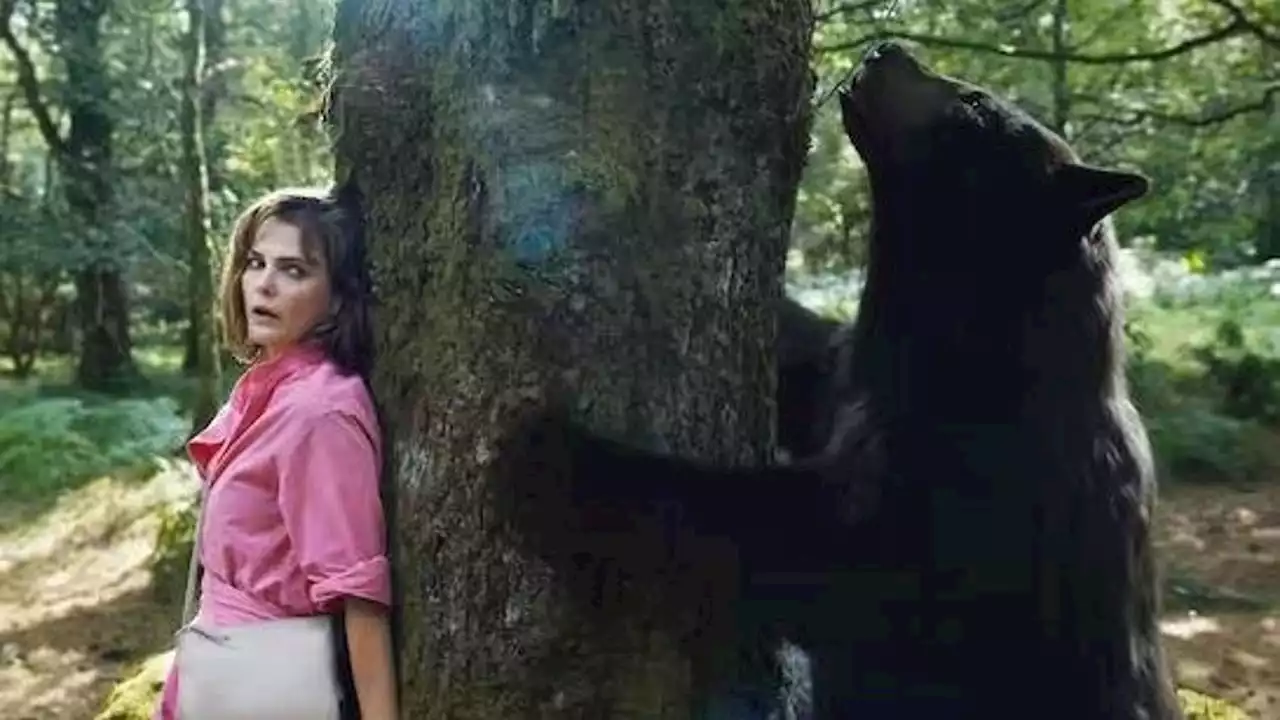 Il film cult sull’orso killer arriva in Italia, scoppia la polemica: “Era necessario farlo uscire ora?”