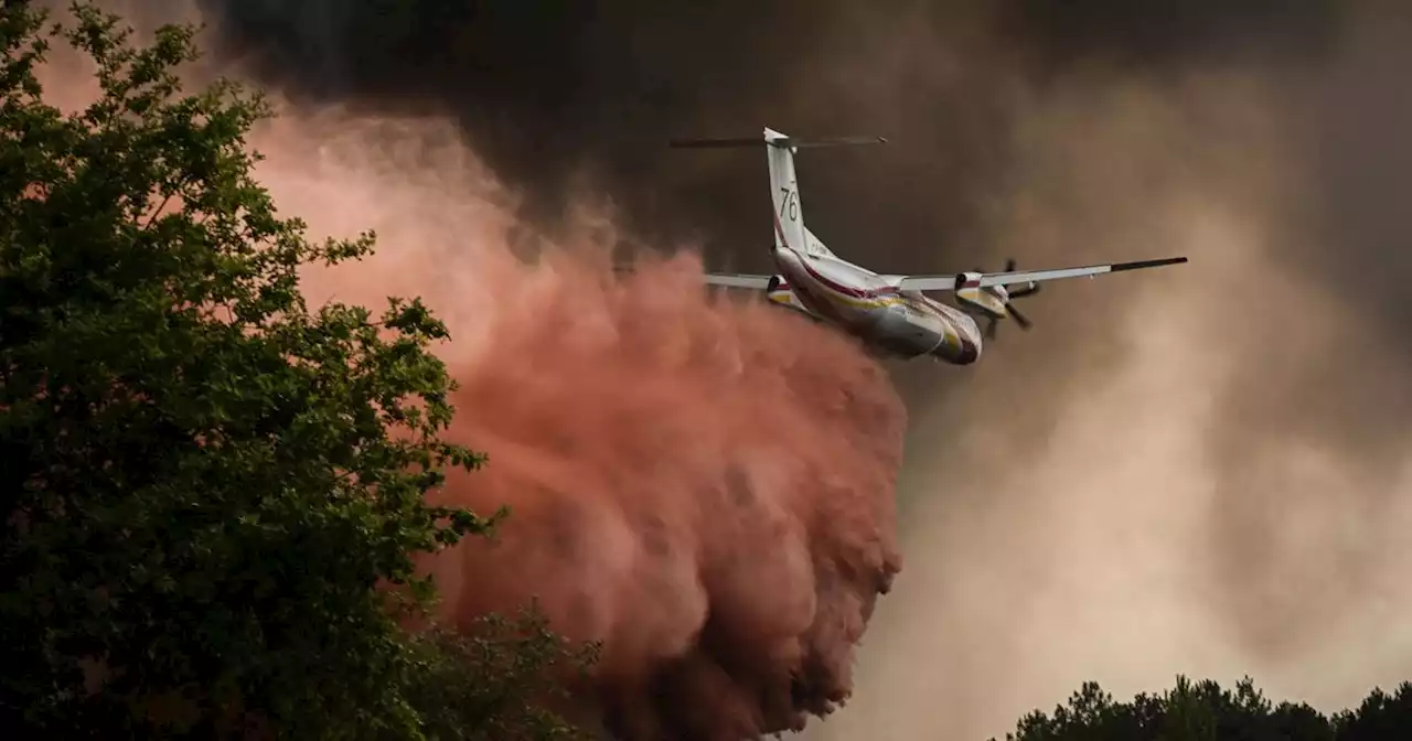 Incendies: en Gironde, la crainte d’un nouvel été cauchemardesque