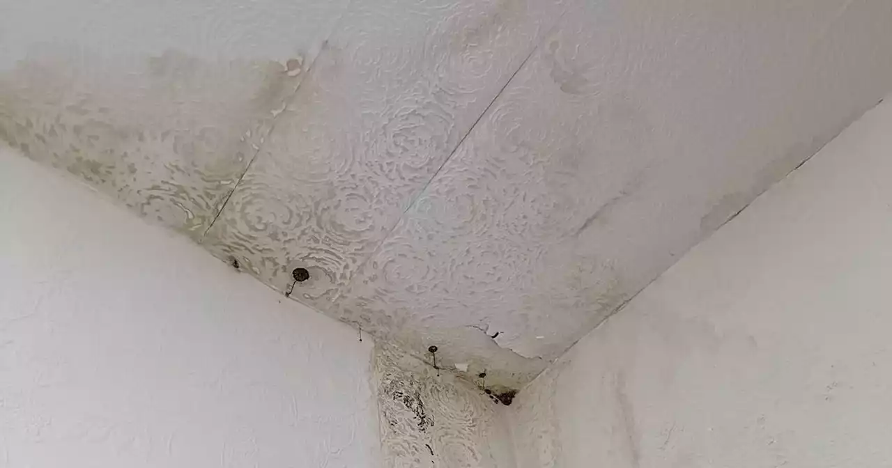 Blackpool 'holiday from hell' with room covered in mould, sick and toenails