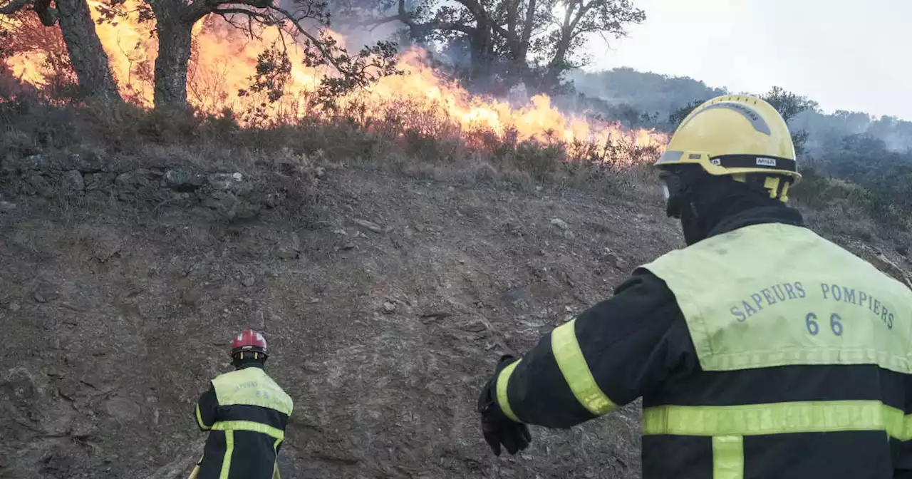 L’incendie dans les Pyrénées-Orientales maîtrisé après avoir parcouru 930 hectares