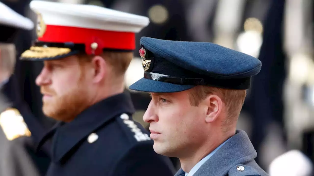 Prince William and Prince Harry Are Apparently Still Feuding, Have No Plans to Meet at Coronation